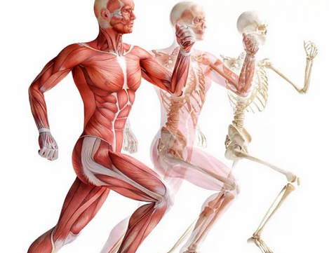 [Александр Волоткевич] Часть 1. Сагиттальная плоскость (2025)