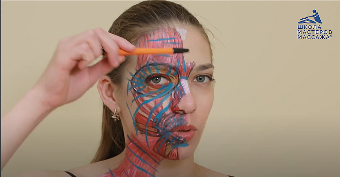 слив [Школа Мастеров Массажа] Самомассаж лица (2023)
